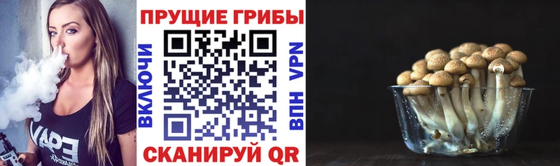 Псилоцибиновые грибы мицелий  Татарск 