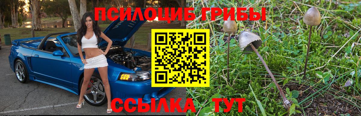 Псилоцибиновые грибы Psilocybine cubensis  Галлюциногенные грибы MAGIC MUSHROOMS  Татарск  Вход с VPN 
